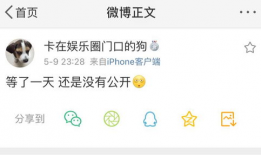 吃瓜爆料节目叫什么来着,揭秘娱乐圈幕后真相