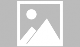 91直播秀视频专区,精彩视频专区，尽享视听盛宴