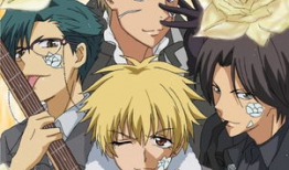 火影成人动漫,成人世界的忍者传奇