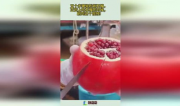 石榴视频,探索视觉盛宴，尽享精彩瞬间